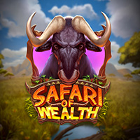 Safari of Wealth